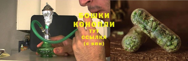 мдпв Вязники